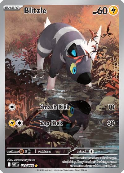 Blitzle 114/86 White Flare Pokemon card