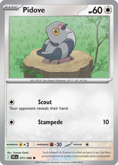 Pidove 71/86 Black Bolt Pokemon card