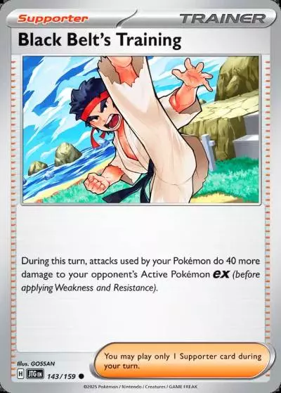 Black Belt's Training 143/159 Journey Together Pokemon card