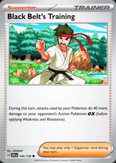 Black Belt's Training 144/159 Journey Together Pokemon card
