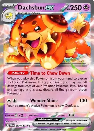 Dachsbun ex 67/142 Stellar Crown Pokemon card