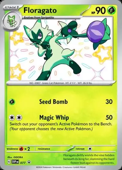 Floragato 77/165 Scarlet & Violet Black Star Promos Pokemon card