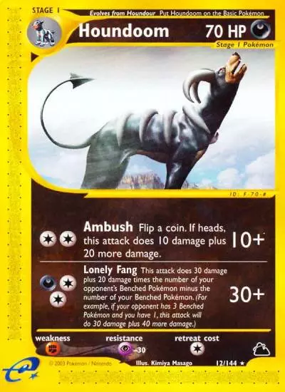 Houndoom 12/144 Skyridge Pokemon card