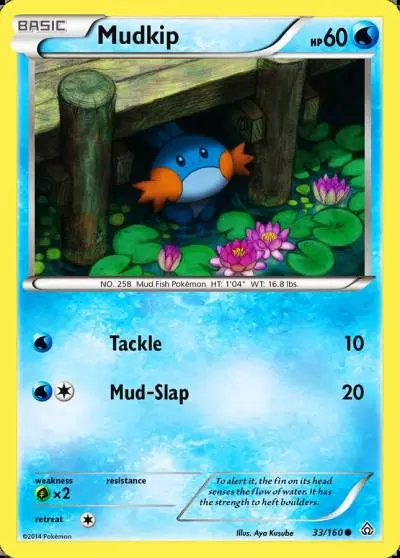 Mudkip 33/160 Primal Clash Pokemon card