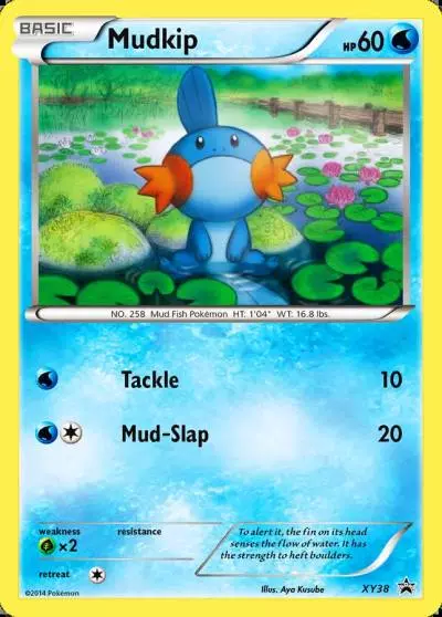 Mudkip XY38/211 XY Black Star Promos Pokemon card