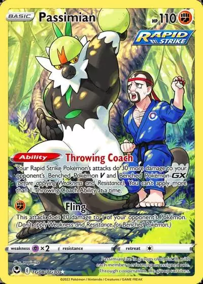 Passimian TG08/30 Silver Tempest Trainer Gallery Pokemon card