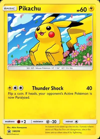Pikachu SM206/248 SM Black Star Promos Pokemon card