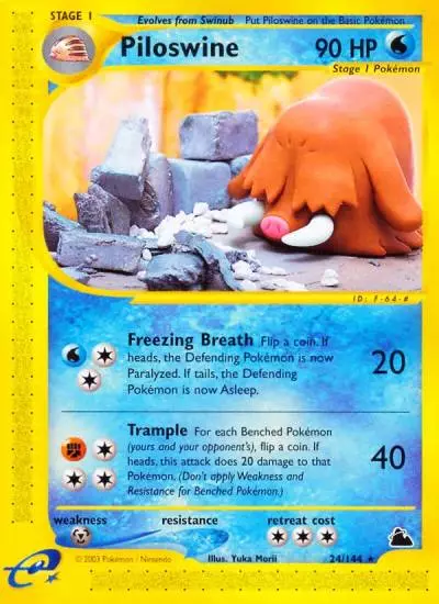 Piloswine 24/144 Skyridge Pokemon card