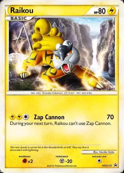 Raikou HGSS19/25 HGSS Black Star Promos Pokemon card