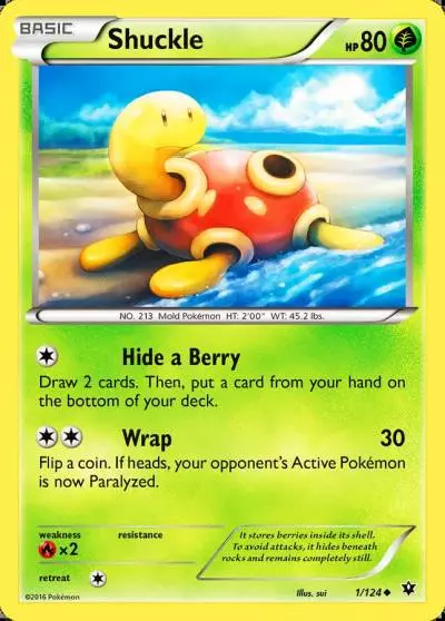 Shuckle 1/124 Fates Collide Pokemon card