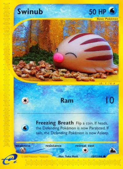 Swinub 107/144 Skyridge Pokemon card