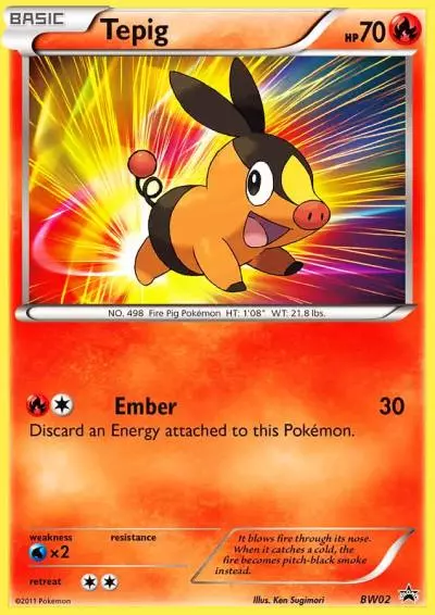 Tepig BW02/101 BW Black Star Promos Pokemon card