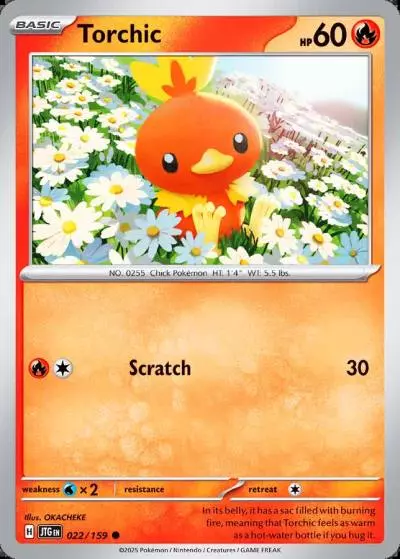 Torchic 22/159 Journey Together Pokemon card